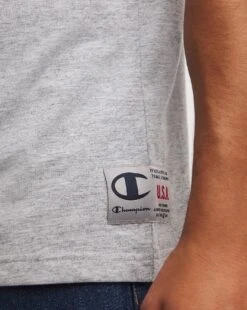 Champion Crewneck T-Shirt| Grey -Wear Lusty Sales Store y08cp750707w