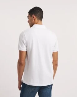 Pack 2 Pique Polo| Blue/White -Wear Lusty Sales Store y08gw698728w