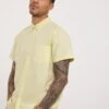Short Sleeve Oxford Shirt| Yellow